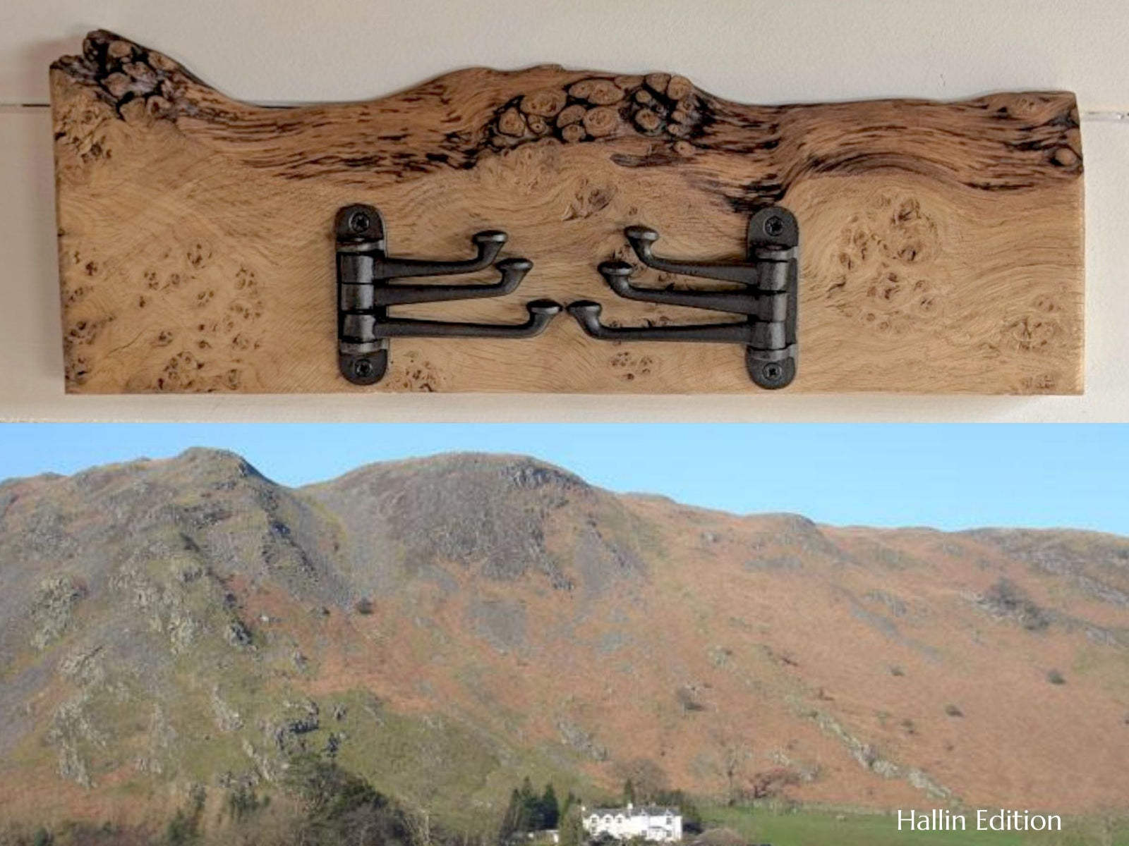 Hallin Edition - Live Edge Pippy Oak Coat Rack